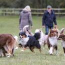 Welpentreffen 0ktober 2019